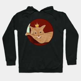 Abyssinian princess Hoodie